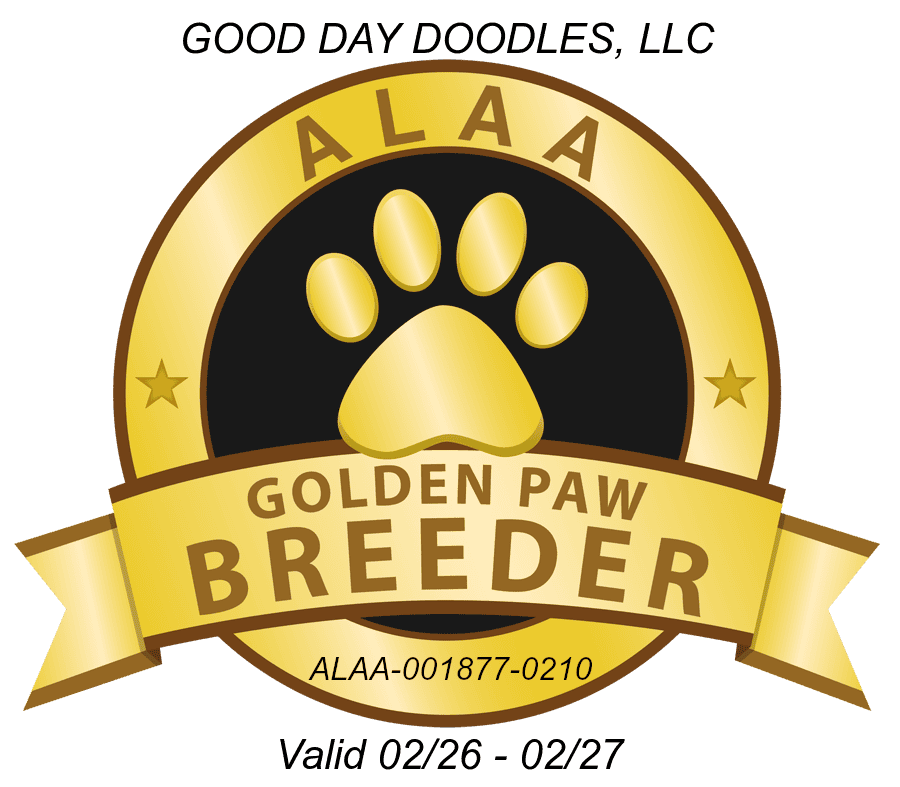Gold paw