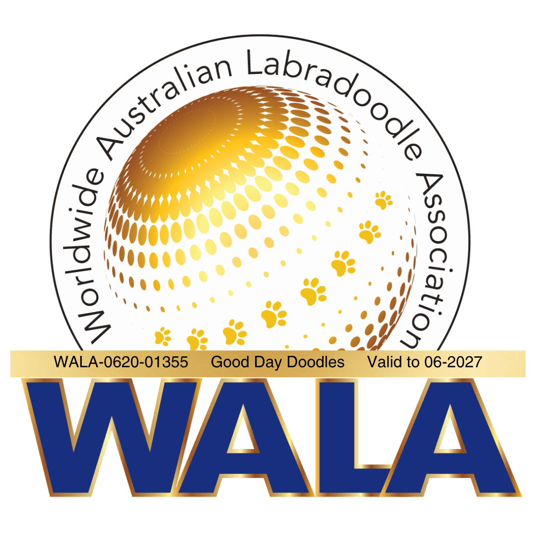Good Day Doodles Badge 1 | Good Day Doodles | Australian Labradoodles in North Carolina WALAA Badge